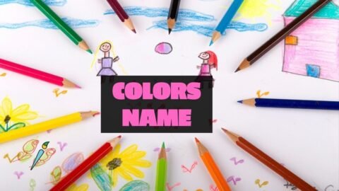 Learn Colors Name