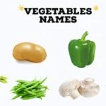 Vegetables Name for Kids