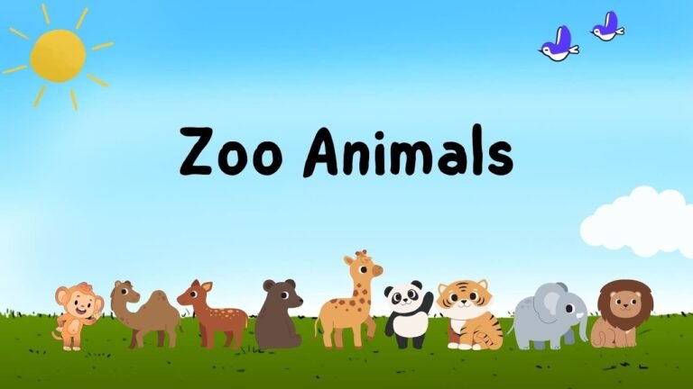 Zoo Animals