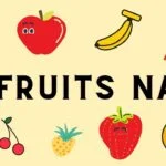 Fruits Name, English Vocabulary
