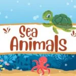 Learn the different sea animals