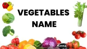 Vegetables names for kids in English