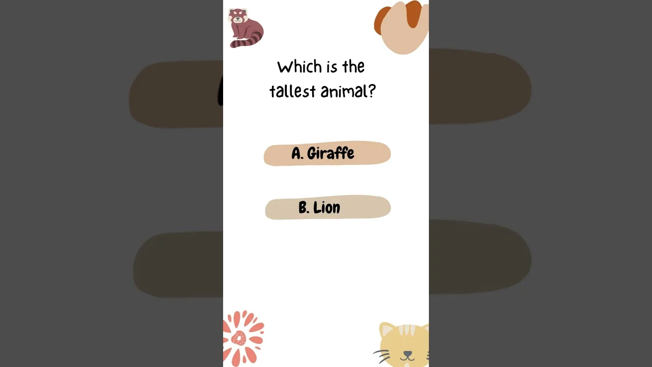 Which is the tallest animal?