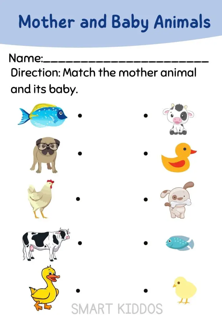 animal names with baby