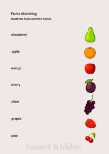 fruits names for kids