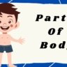 Learn Body parts, Body Parts For Kids, Parts of body, Body Parts Name