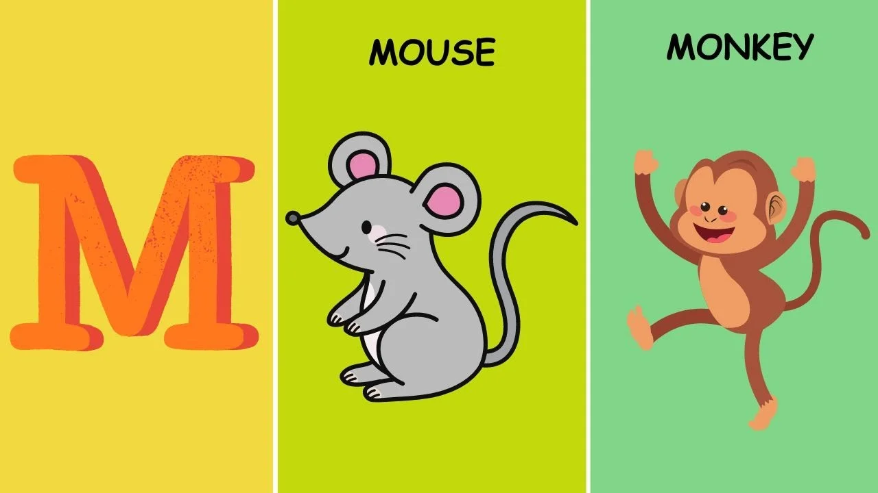 Learn Letter M Words With These Fun And Interactive Flashcards.