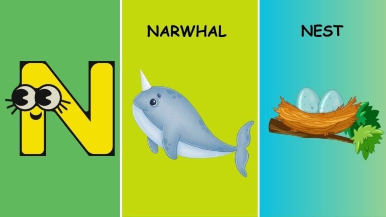 Learn Letter N Words With These Fun And Interactive Flashcards.