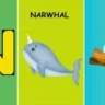 Learn Letter N Words With These Fun And Interactive Flashcards.