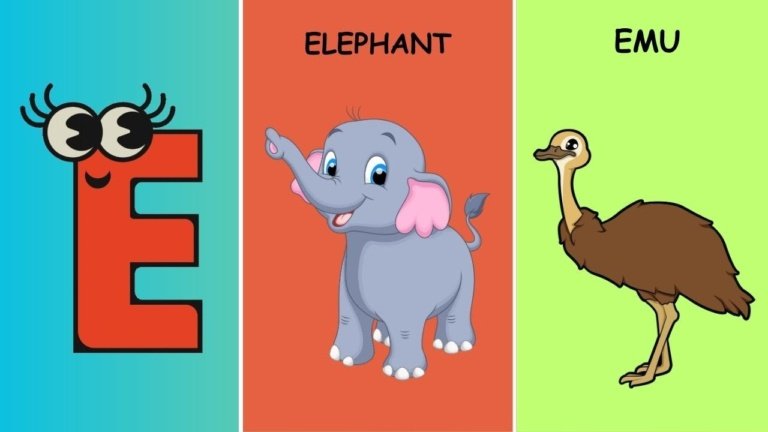 Letter E | Letter (E) words for kids | E Flashcards | ABC Flashcards