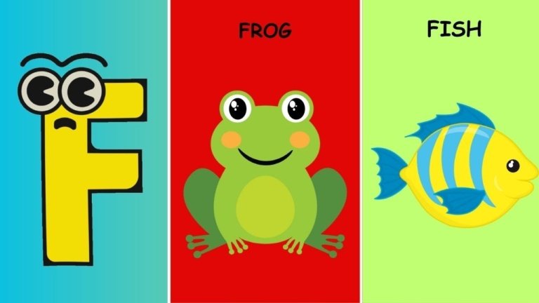 Letter F flashcards | Learn letter (F) words for kids | F Flashcards