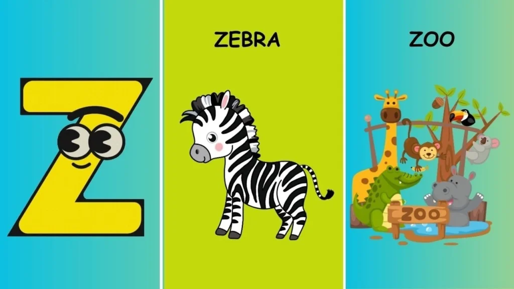 Letter Z flashcards | Learn letter (Z) words for kids | ABC Flashcards