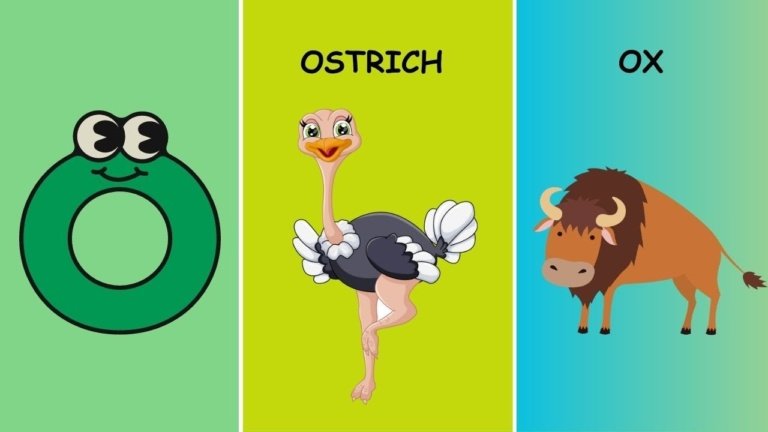 Words Starting with O | Letter O Words In English | ABC Flashcards