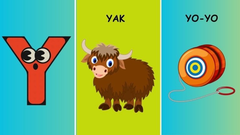 Y Words: Fun and Easy Words Starting With Y | Y Letter Words for Kids