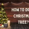 How to Draw Christmas Tree?